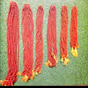 Rudraksha mala